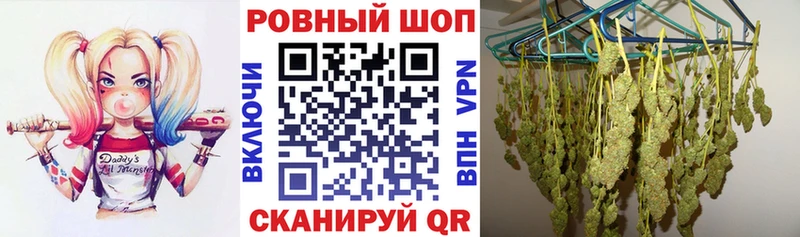 ГАШИШ Каневская