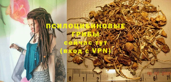 первитин Заводоуковск