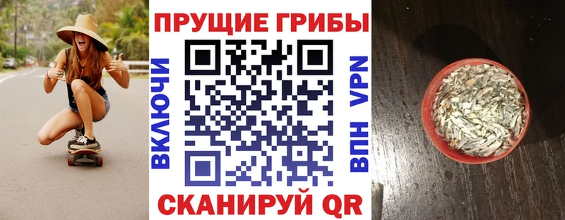 Псилоцибиновые грибы ЛСД  Купить  Каневская 